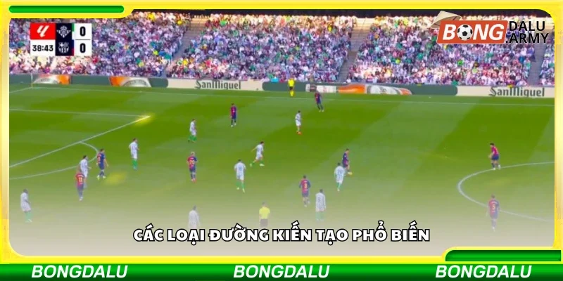 Một số loại đường kiến tạo phổ biến