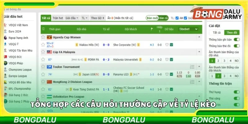 Tổng hợp các câu hỏi thường gặp về tỷ lệ kèo