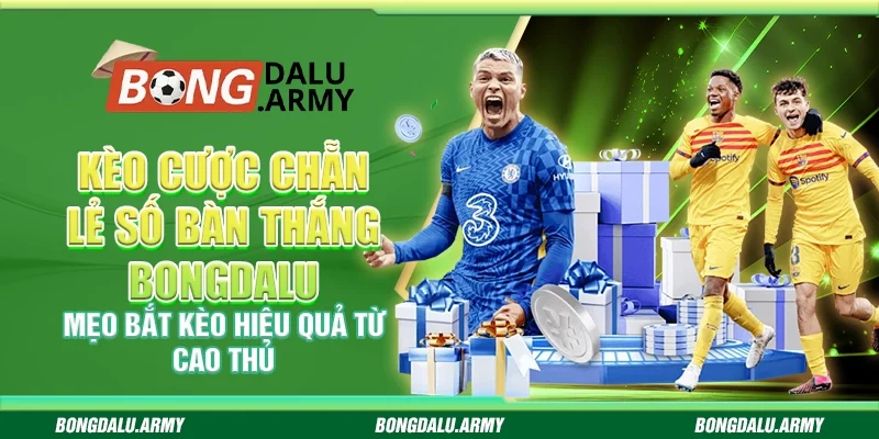 Kèo cược chẵn lẻ số bàn thắng Bongdalu – Mẹo bắt kèo hiệu quả từ cao thủ
