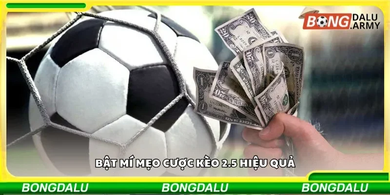 Bật mí mẹo cược kèo 2.5 hiệu quả