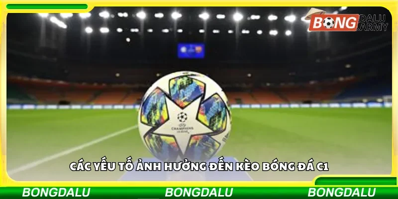 Các nhân tố ảnh hưởng đến cược C1