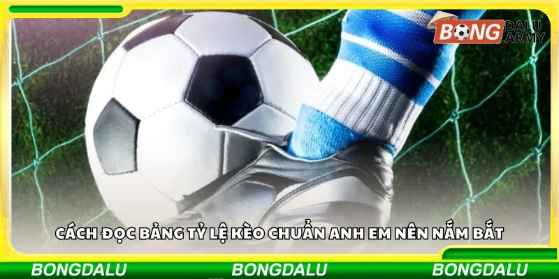 Cách đọc bảng tỷ lệ kèo chuẩn