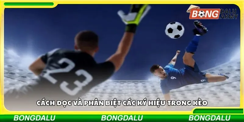 Cách đọc và phân biệt các ký hiệu trong kèo