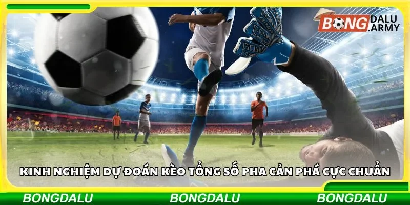 Kèo tổng số pha cản phá cùng kinh nghiệm khi tham gia