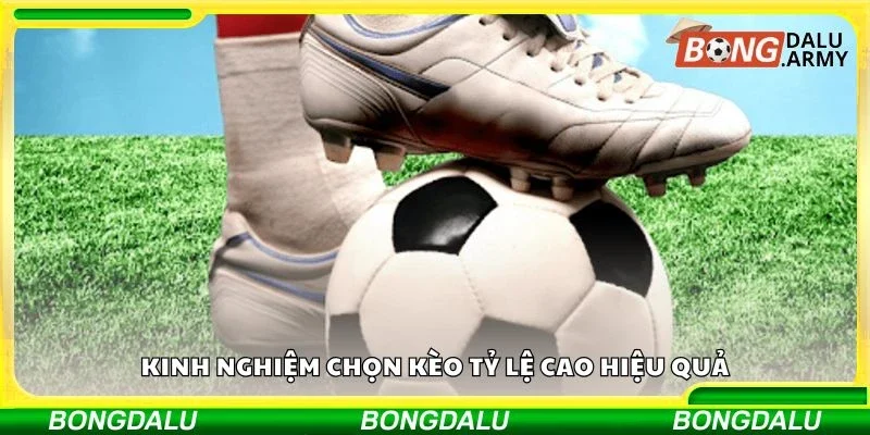 Kinh nghiệm chọn kèo tỷ lệ cao hiệu quả