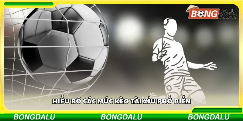 Tìm hiểu các mức kèo Tài Xỉu phổ biến