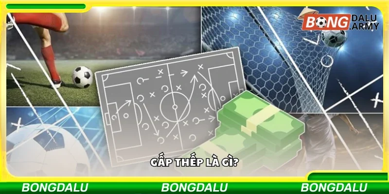 Tìm hiểu khái niệm gấp thếp