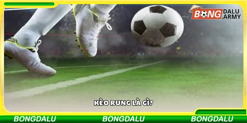 Tìm hiểu sơ lược về kèo rung