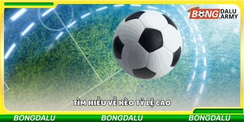 Tìm hiểu về kèo tỷ lệ cao